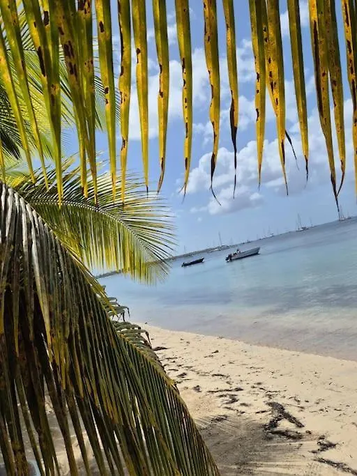 Studio Ti Gwama Village Vacances Sainte-Anne  0*, Sainte-Anne (Grande-Terre)