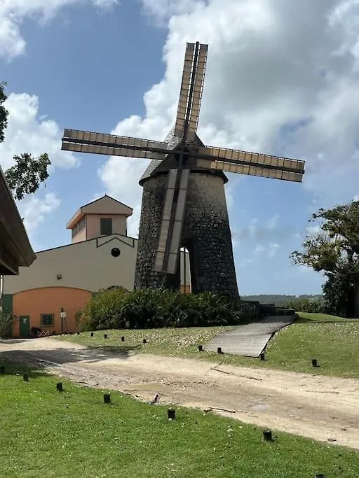 Διαμέρισμα Studio Ti Gwama Village Vacances Sainte-Anne  Γουαδελούπη
